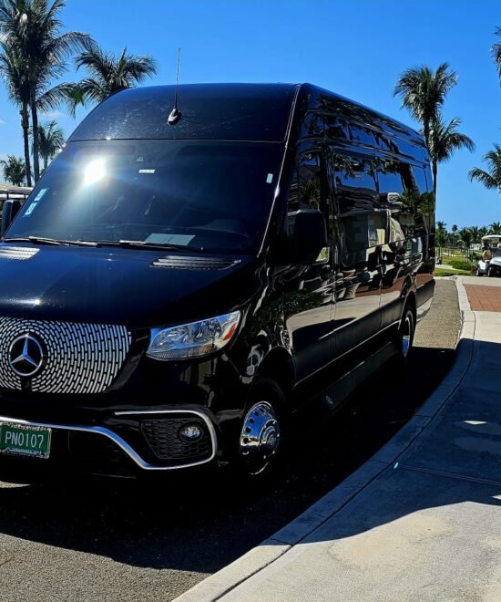 Nassau Black Car Service (10)