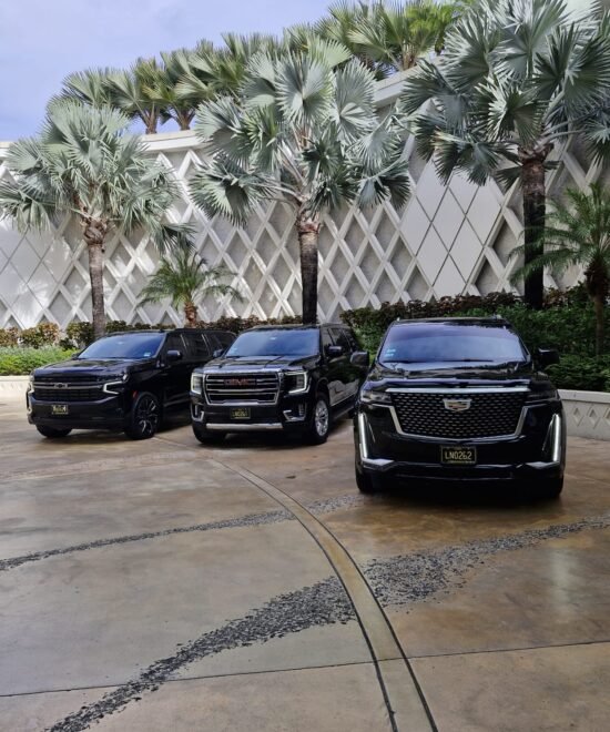 Nassau Black Car Service (12)